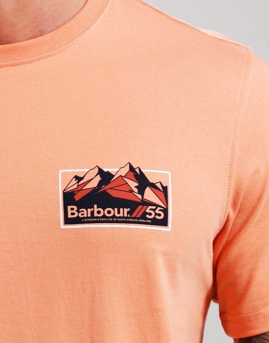 Barbour Glasson T-Shirt Faded Orange