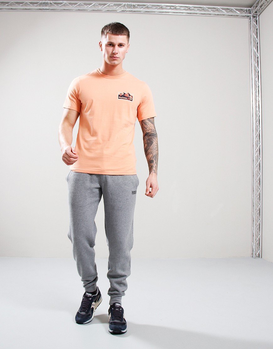 Barbour Glasson T-Shirt Faded Orange