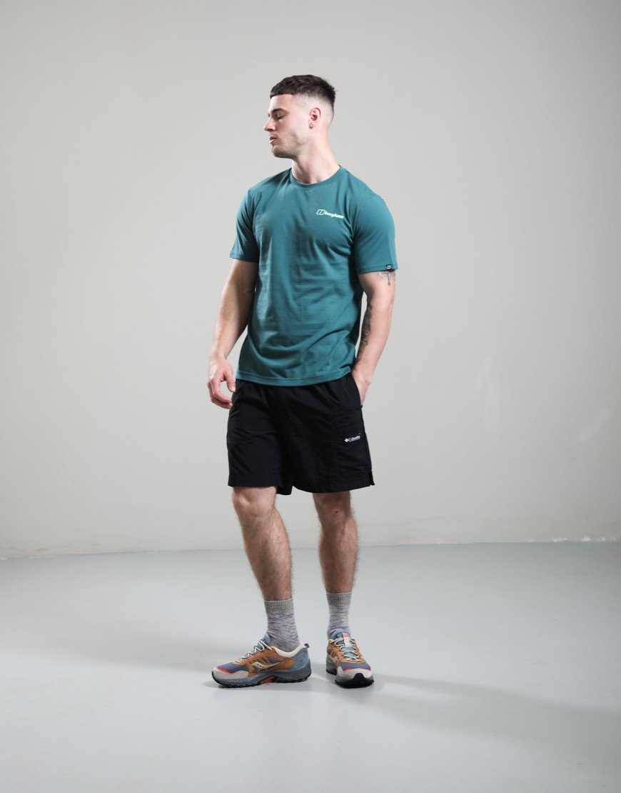 Berghaus Geo-Mountaintry Essential T-Shirt Northern Storm