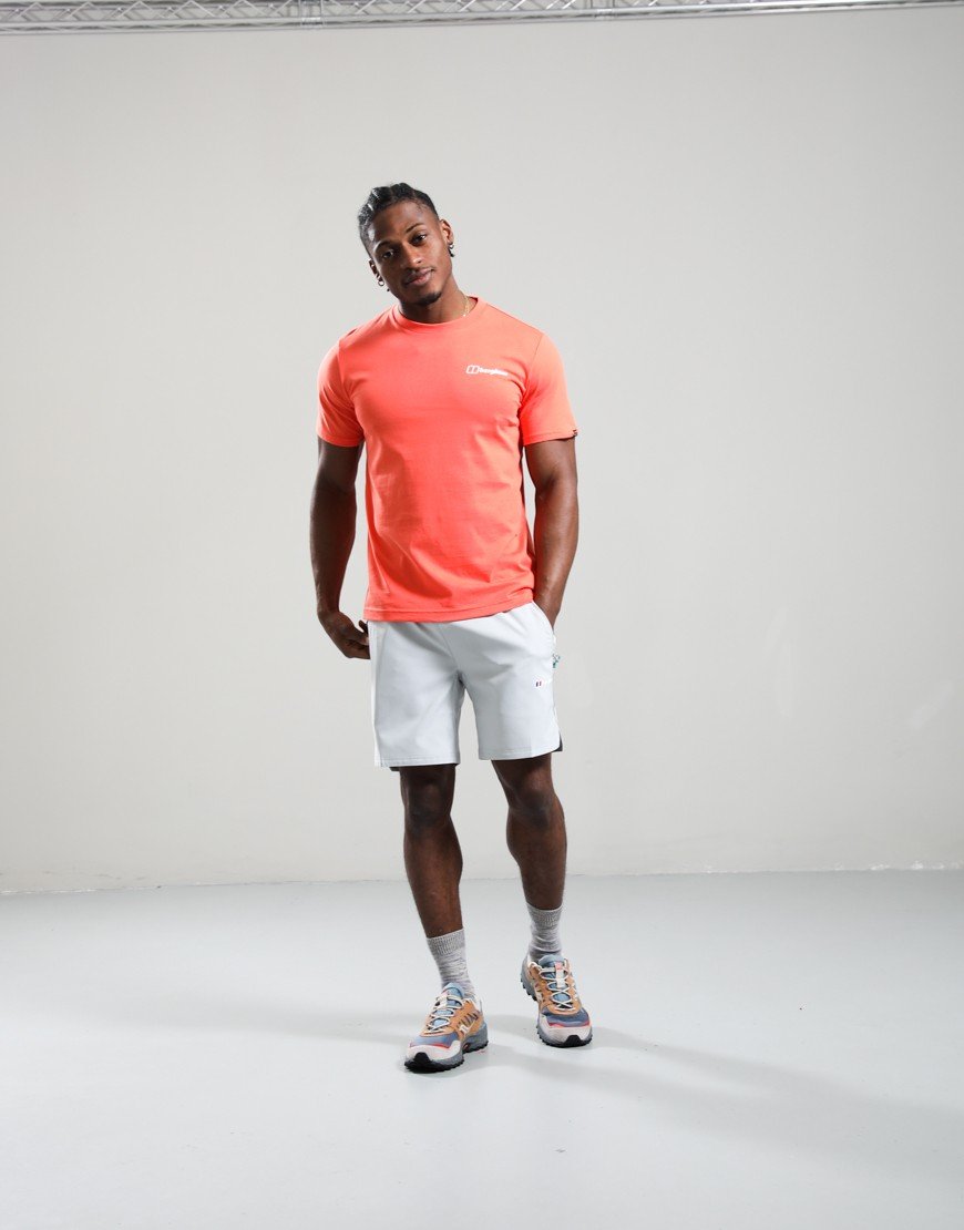 Berghaus Geo-Mountaintry Essential T-Shirt Sunburst