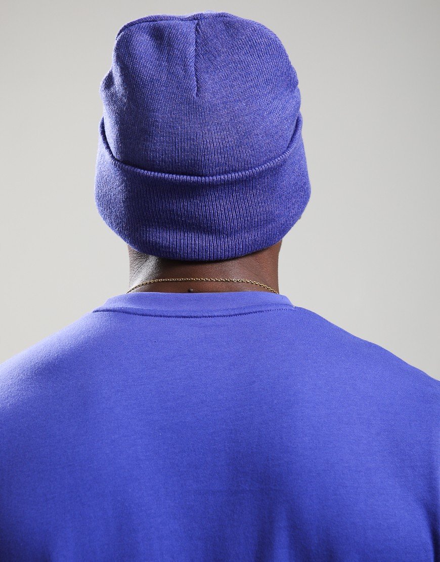 Berghaus Logo Recognition Beanie Bottle Blue