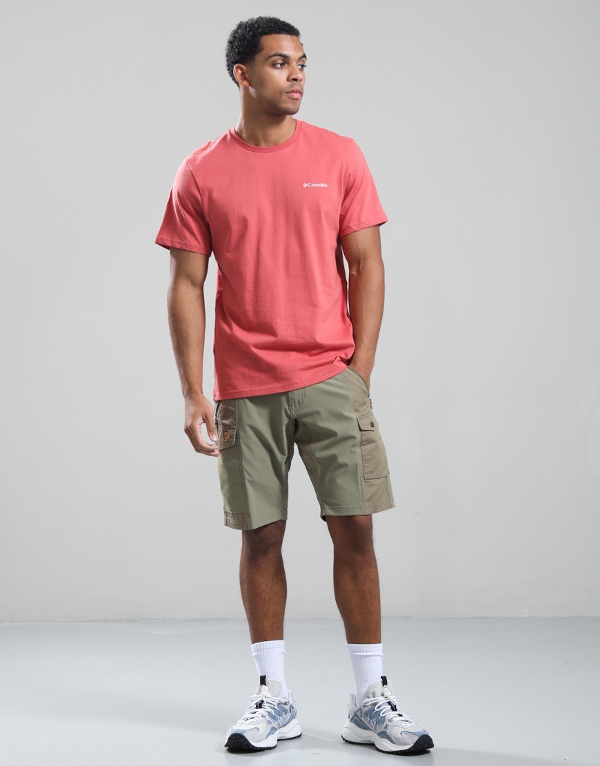 Columbia CSC Outdoor Back Graphic Tee Washed Red/Shining Landscape