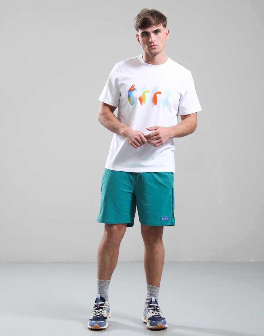 Cotopaxi Cuatro Bitmap T-Shirt White