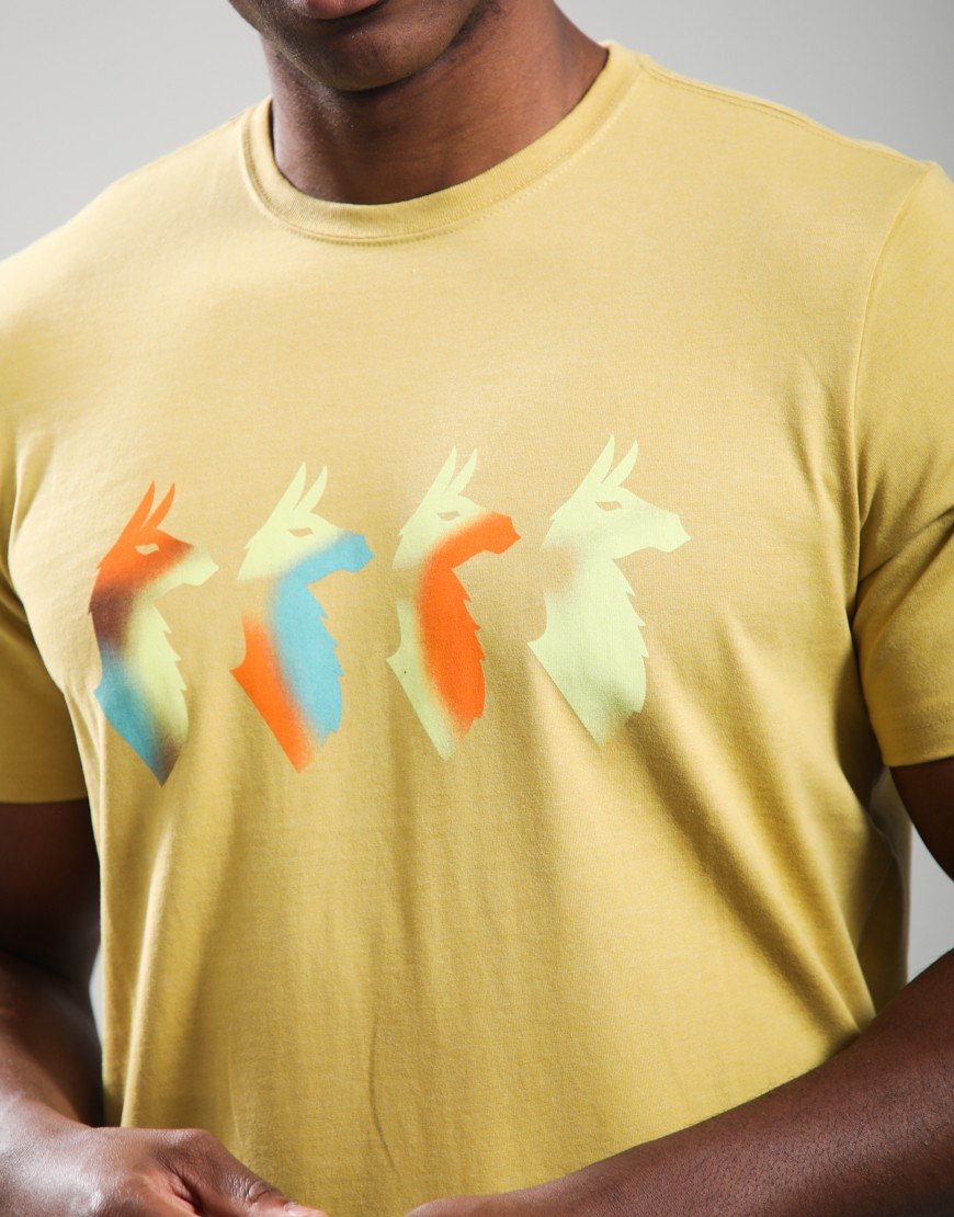 Cotopaxi Cuatro Bitmap T-Shirt Husk