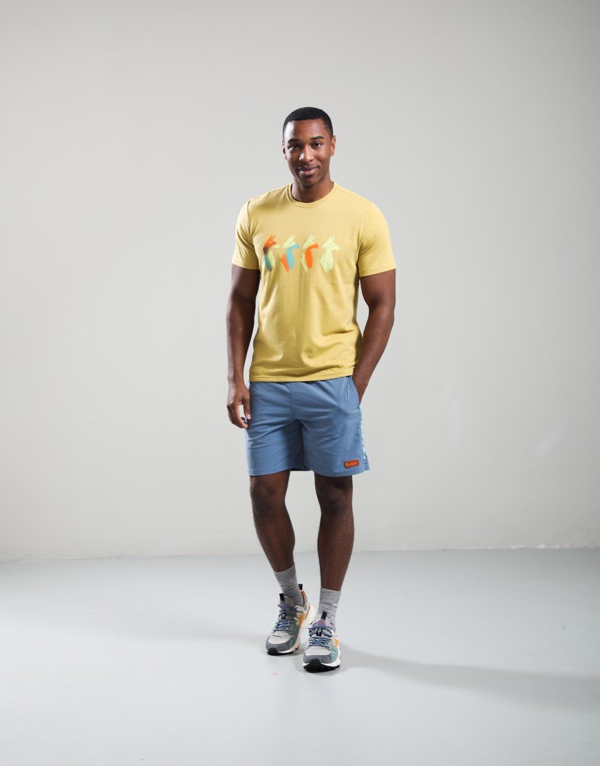 Cotopaxi Cuatro Bitmap T-Shirt Husk