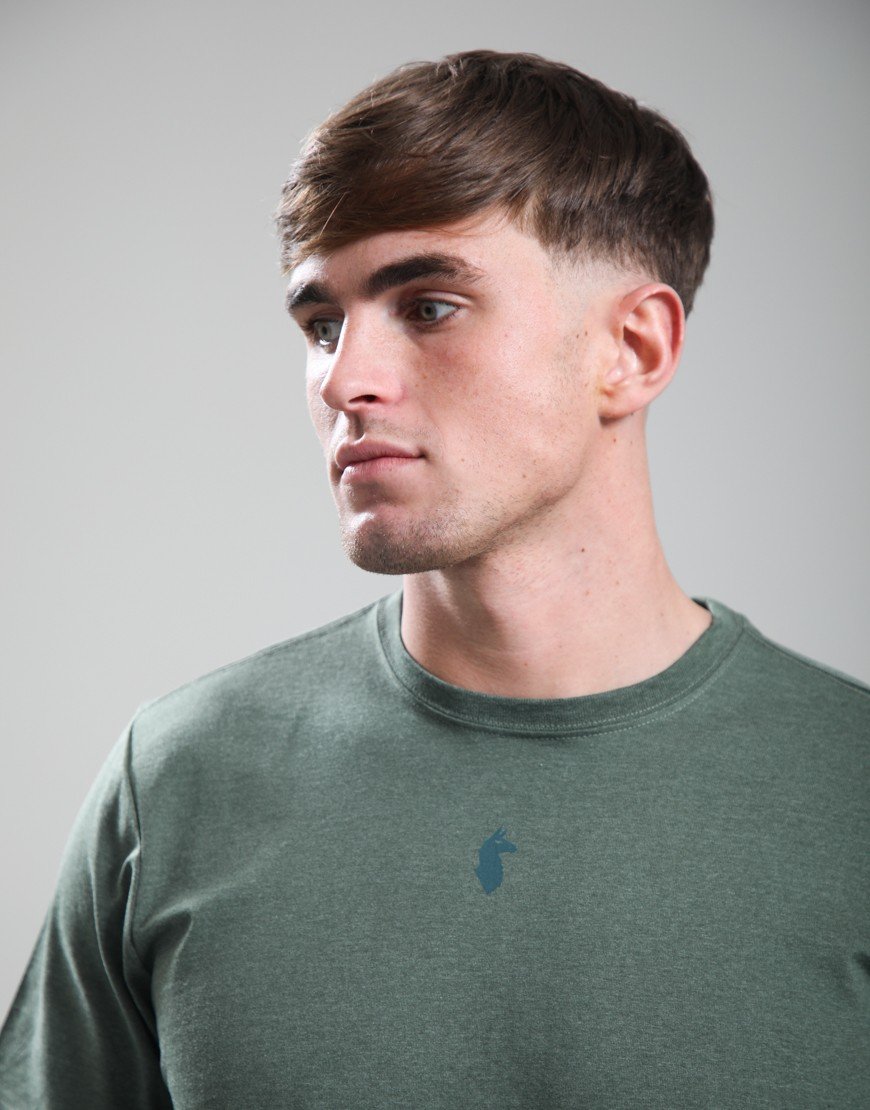 Cotopaxi Llama Icon T-Shirt Fatigue