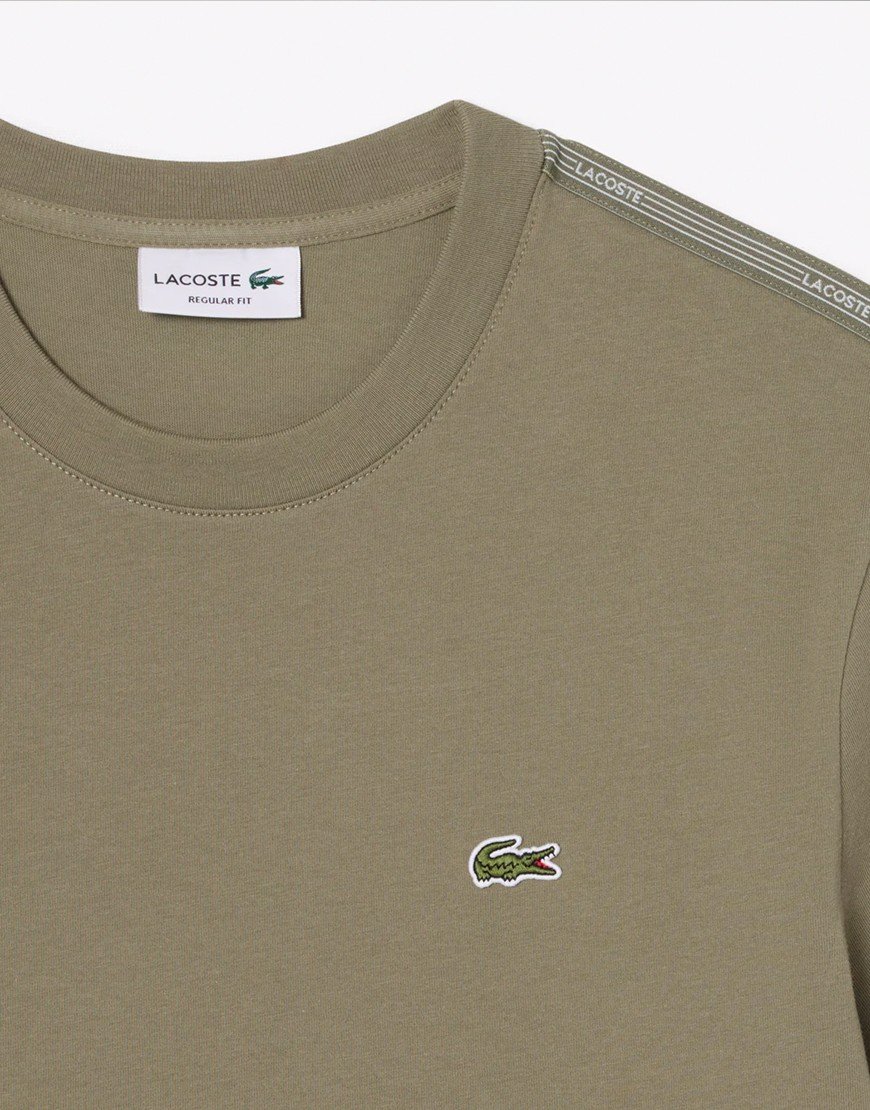 Lacoste Branded Stripe T-Shirt Khaki