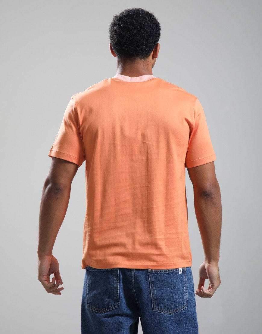 Lacoste Contrast Collar T-Shirt Blossom