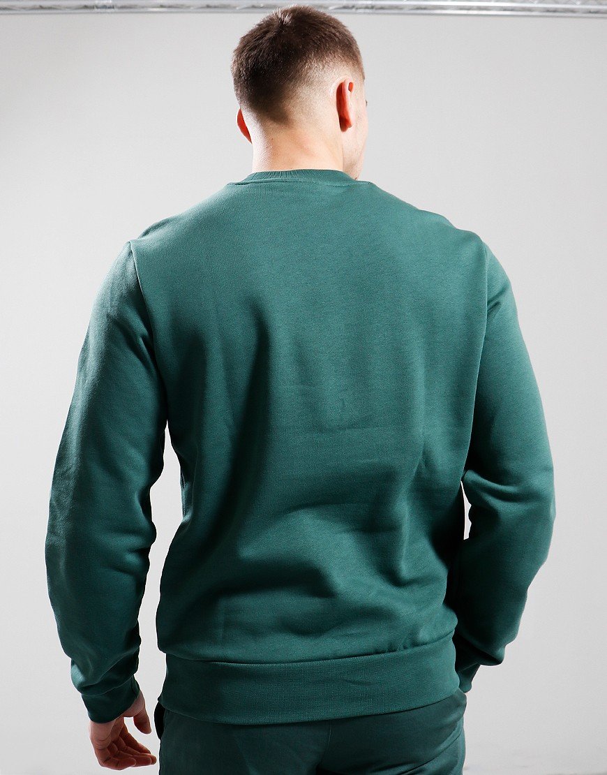 Lacoste Cotton Crew Sweat Dark Green