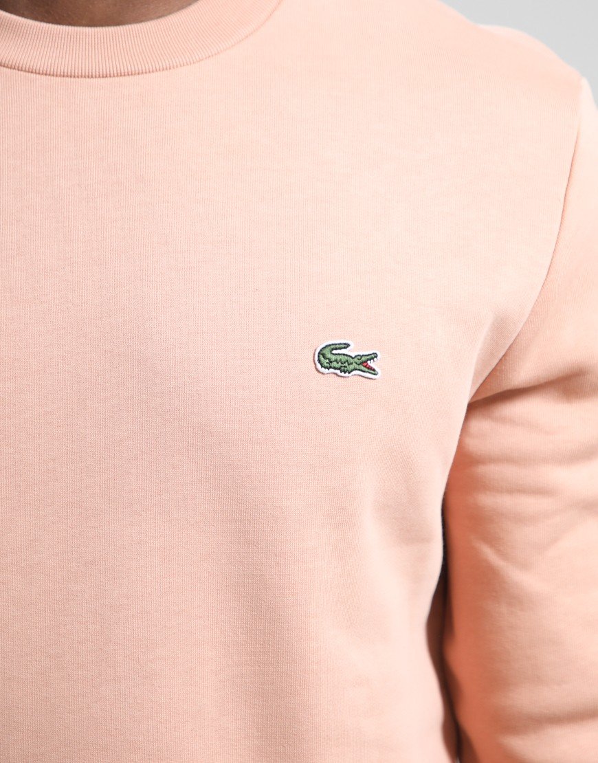 Lacoste Cotton Crew Sweat Latte
