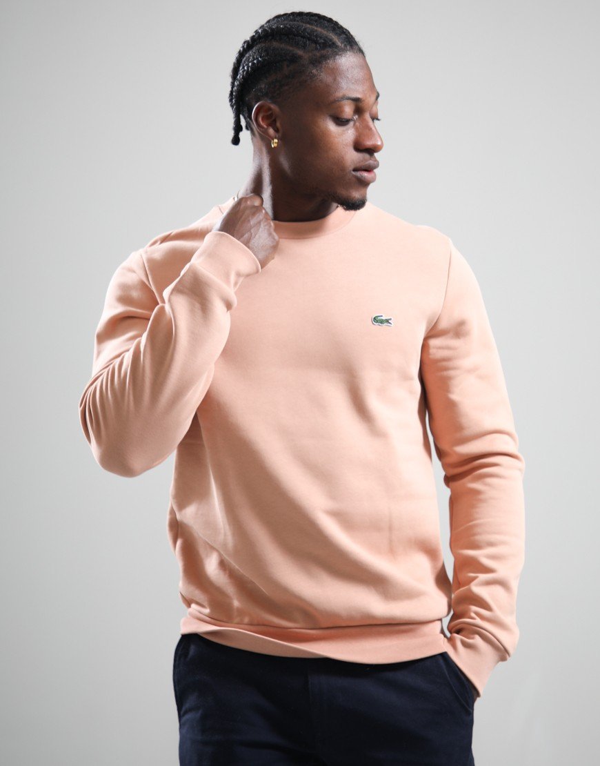 Lacoste Cotton Crew Sweat Latte