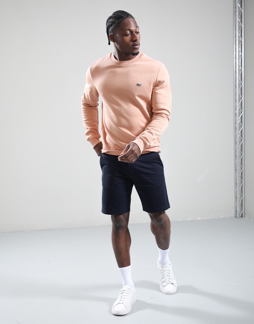 Lacoste Cotton Crew Sweat Latte