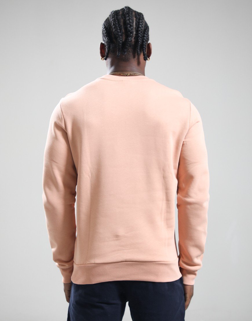 Lacoste Cotton Crew Sweat Latte