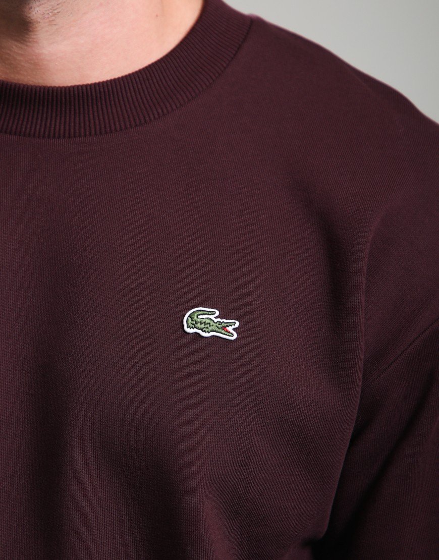 Lacoste Cotton Crew Sweat Oxalis