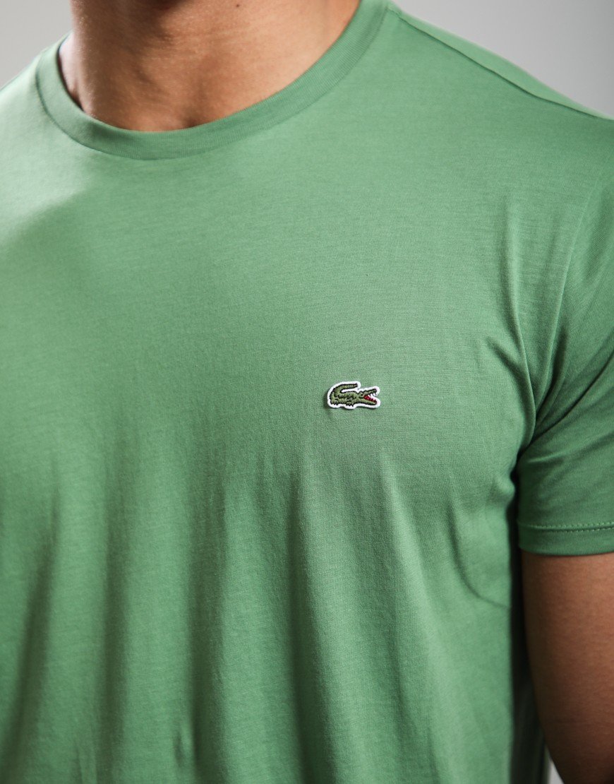 Lacoste Pima Cotton T-Shirt Lambs Lettuce