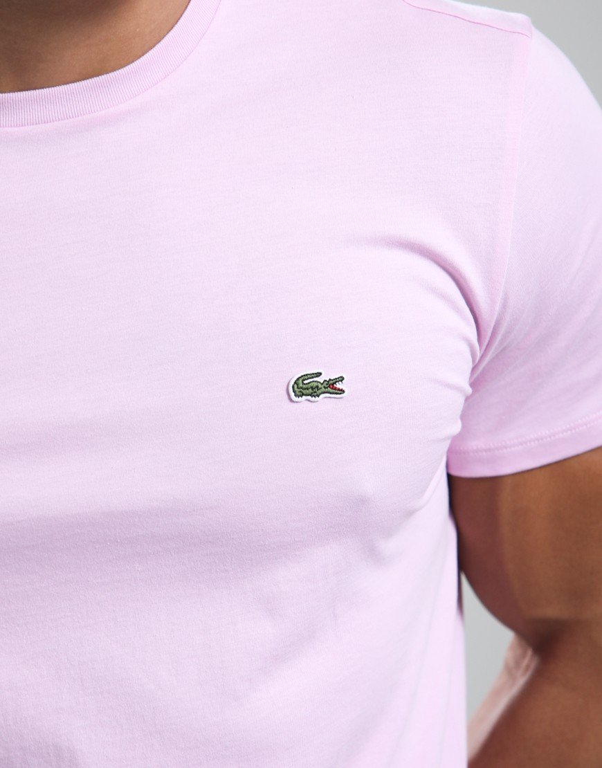 Lacoste Pima Cotton T-Shirt Albizia