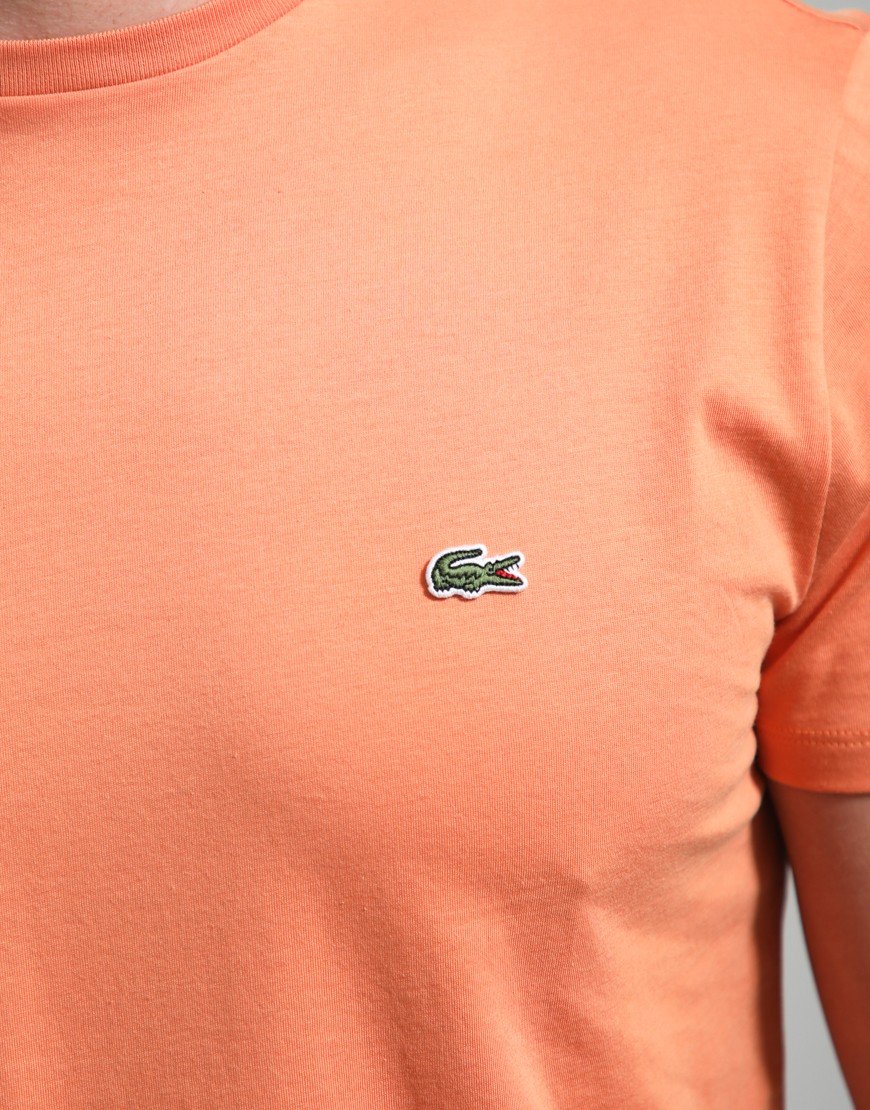 Lacoste Pima Cotton T-Shirt Blossom