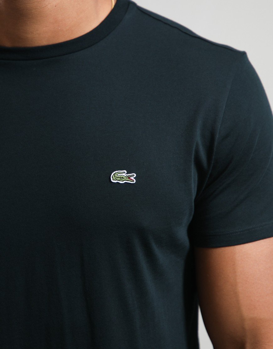 Lacoste Pima Cotton T-Shirt Dark Varech