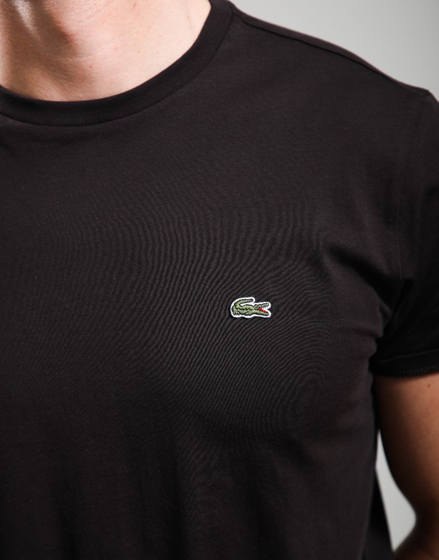 Lacoste Pima Cotton T-Shirt Buffalo