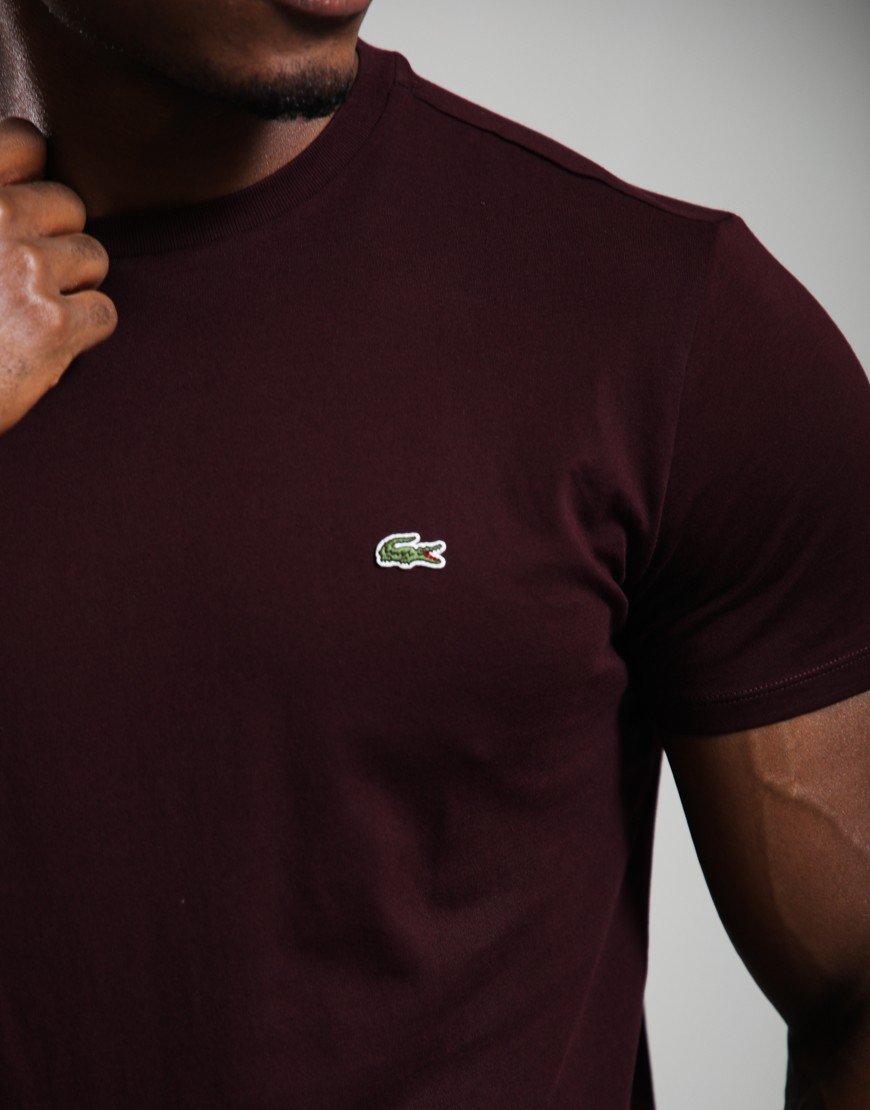 Lacoste Pima Cotton T-Shirt Oxalis