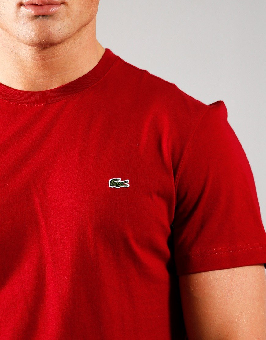 lacoste t shirt basic