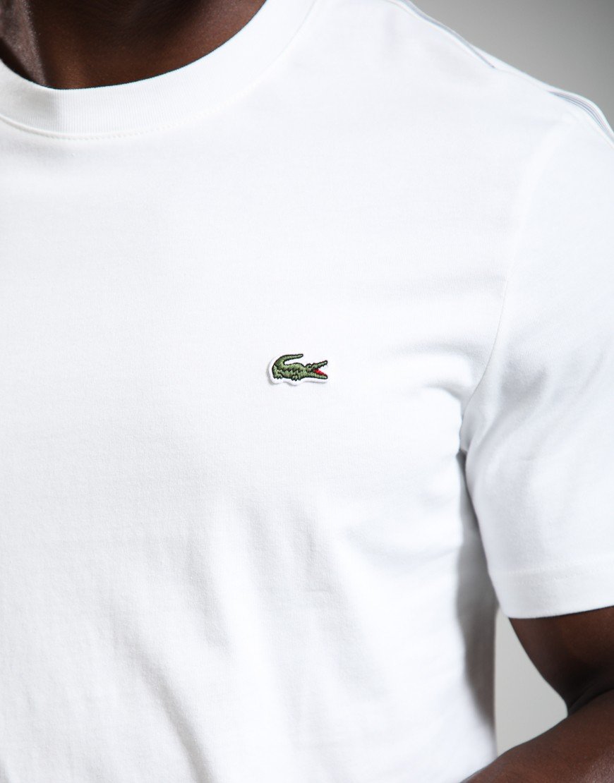 Lacoste Branded Stripe Band T-shirt Flour