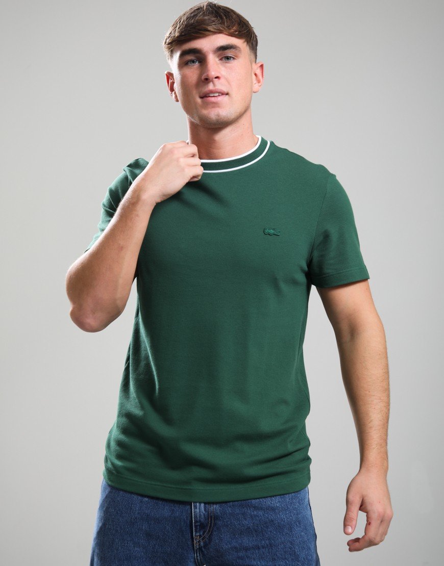 Lacoste Stretch Pique Stripe Collar T-Shirt Green