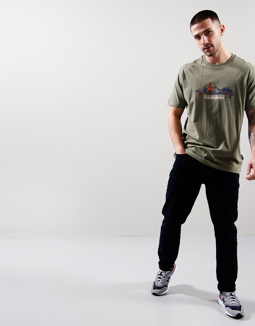 Napapijri S-Backcountry T-Shirt Green Lichen