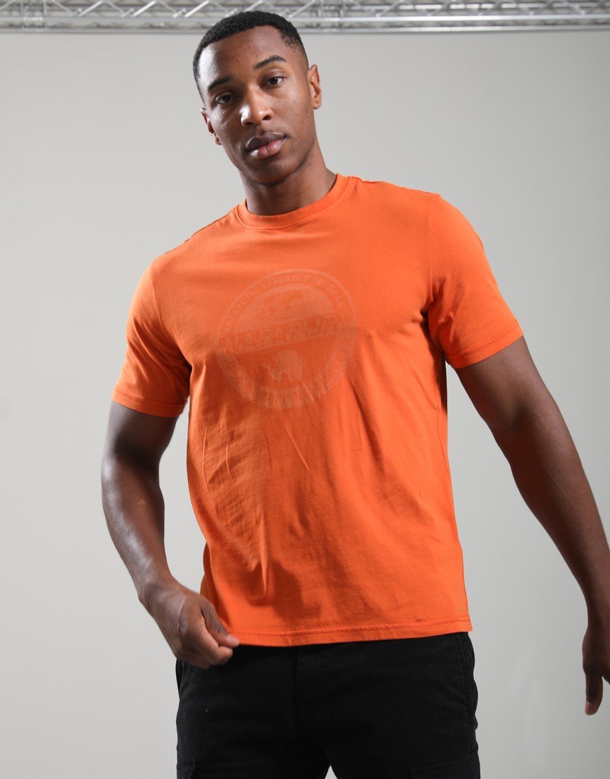 Napapijri S-Bollo 3 T-Shirt Gold Flame Awq