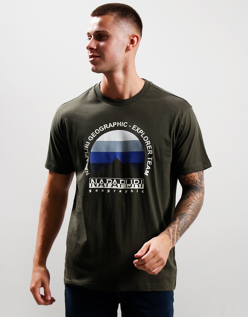Napapijri S-Telemark 1 T-Shirt Green Depths