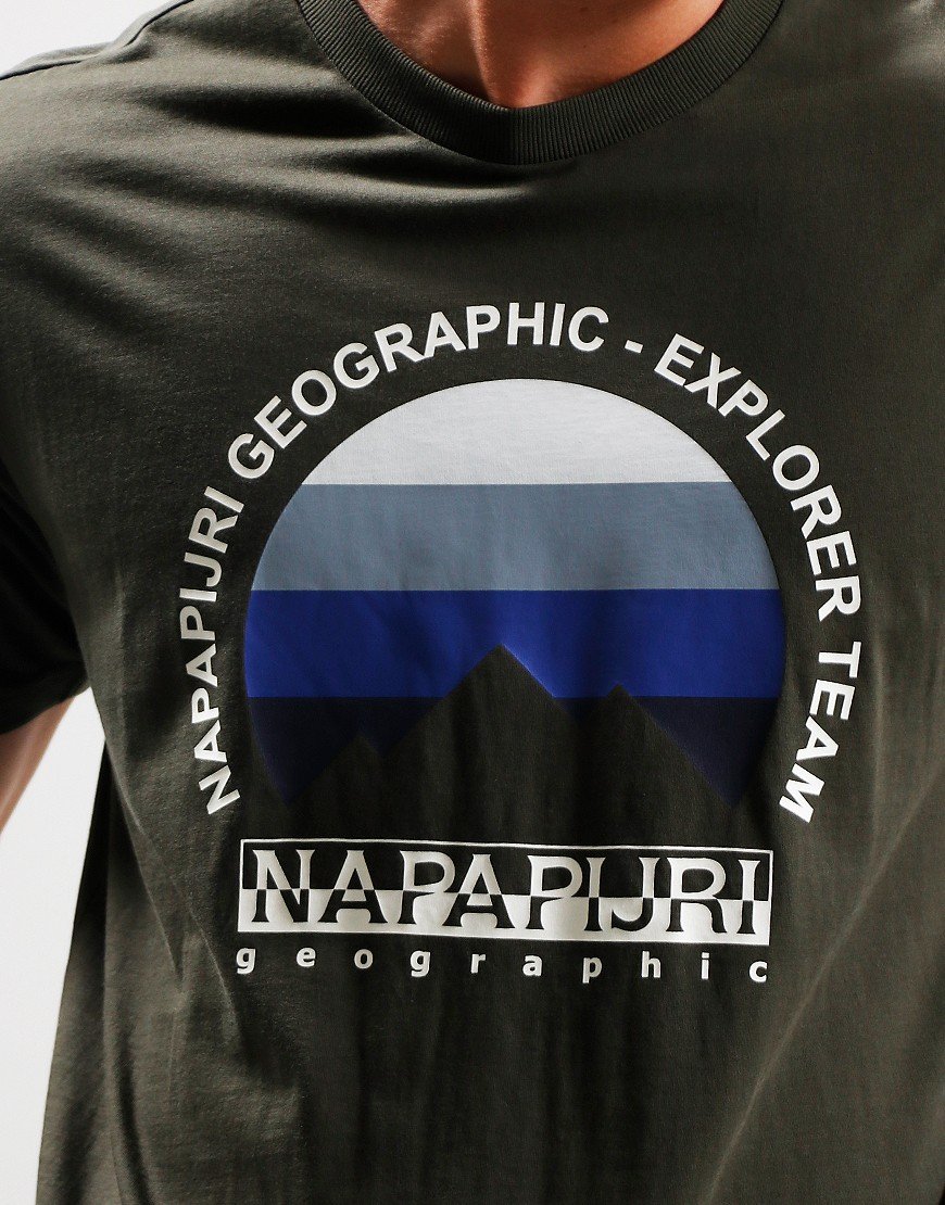 Napapijri S-Telemark 1 T-Shirt Green Depths