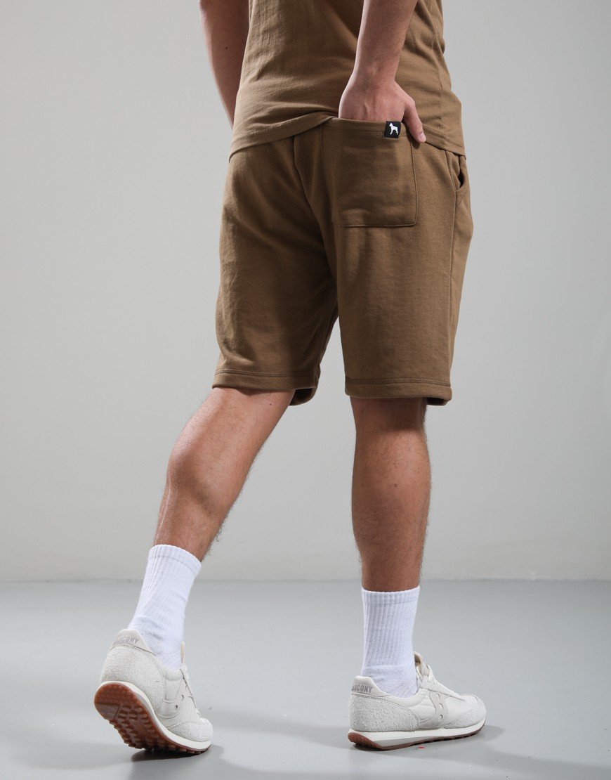 One True Saxon Dexon Shorts Brown