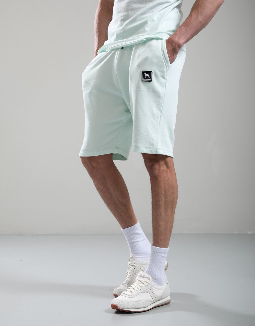 One True Saxon Dexon Shorts Turquoise