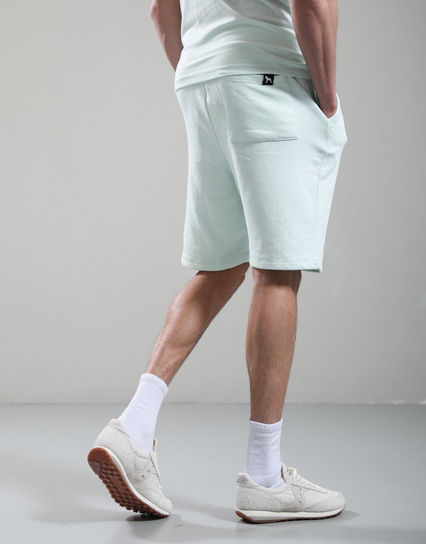 One True Saxon Dexon Shorts Turquoise