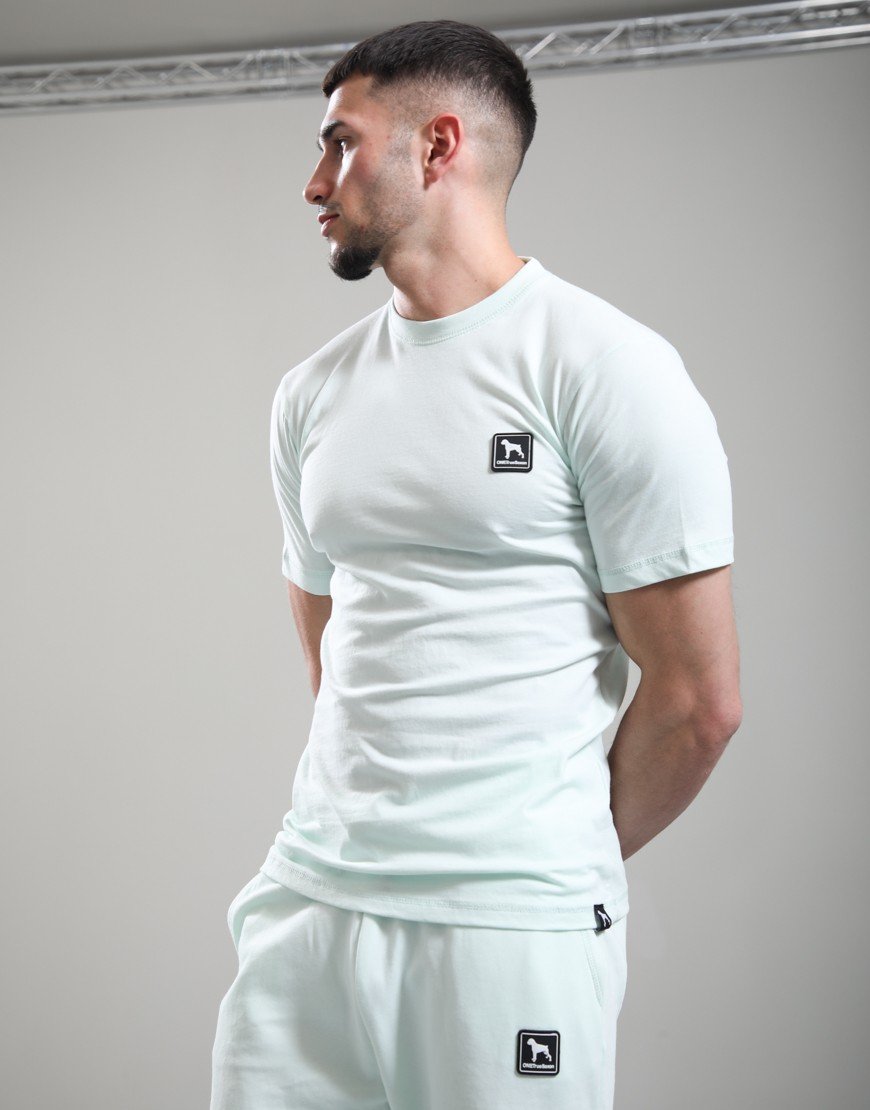 One True Saxon Dexon T-Shirt Turquoise