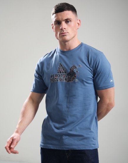 Peaceful Hooligan System Dove T-Shirt Copen Blue