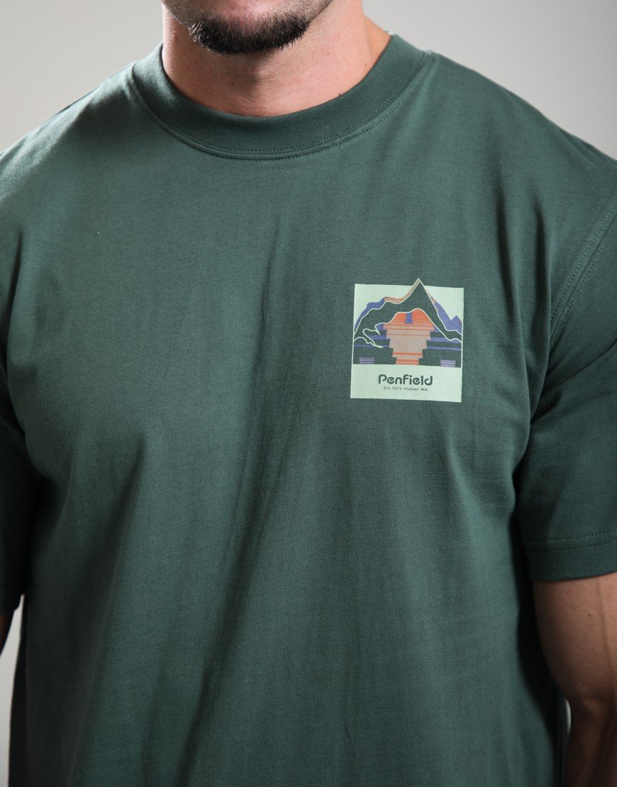 Penfield Mountain Back Forefounders T-Shirt Cilantro