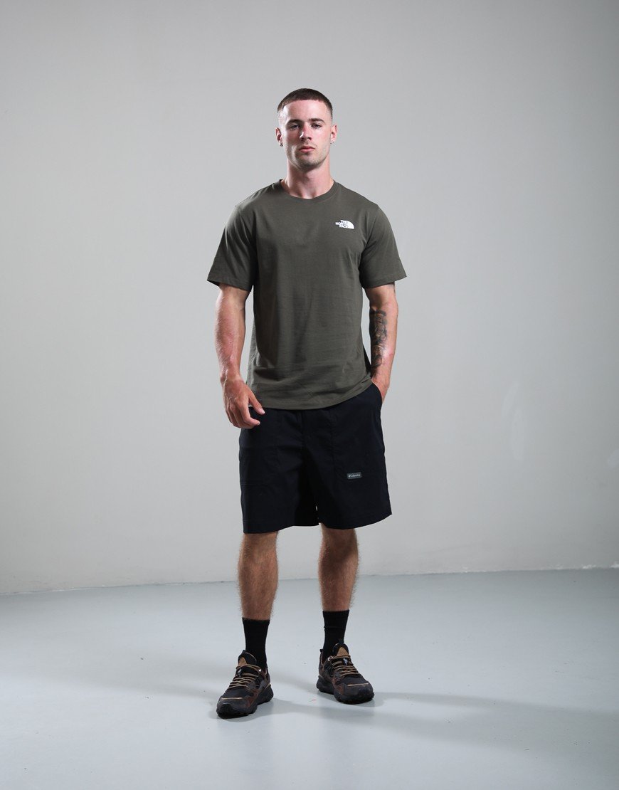 The North Face Box NSE Celebration T-Shirt New Taupe Green