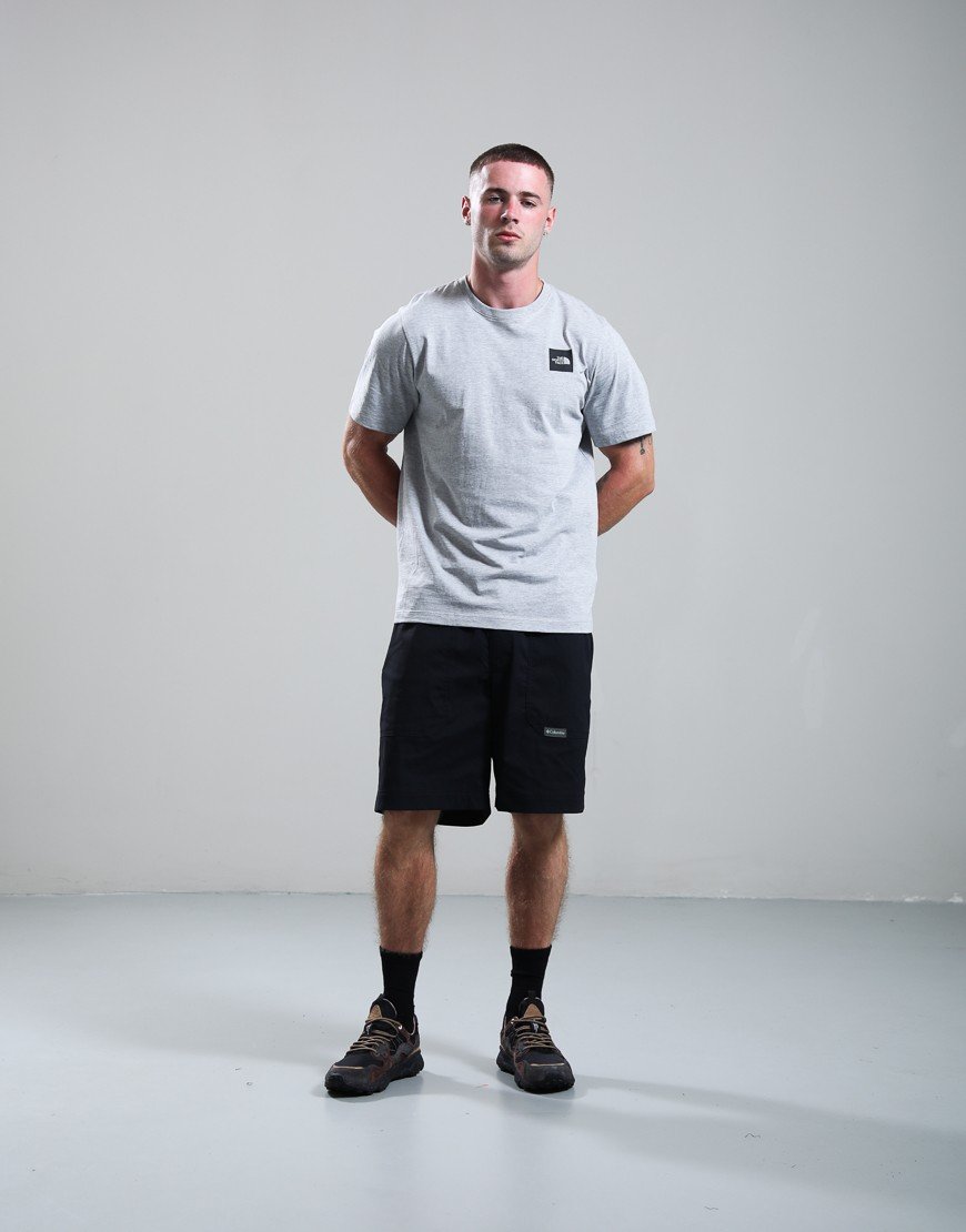 The North Face Evolution Box Half Dome T-Shirt Pale Grey Heather