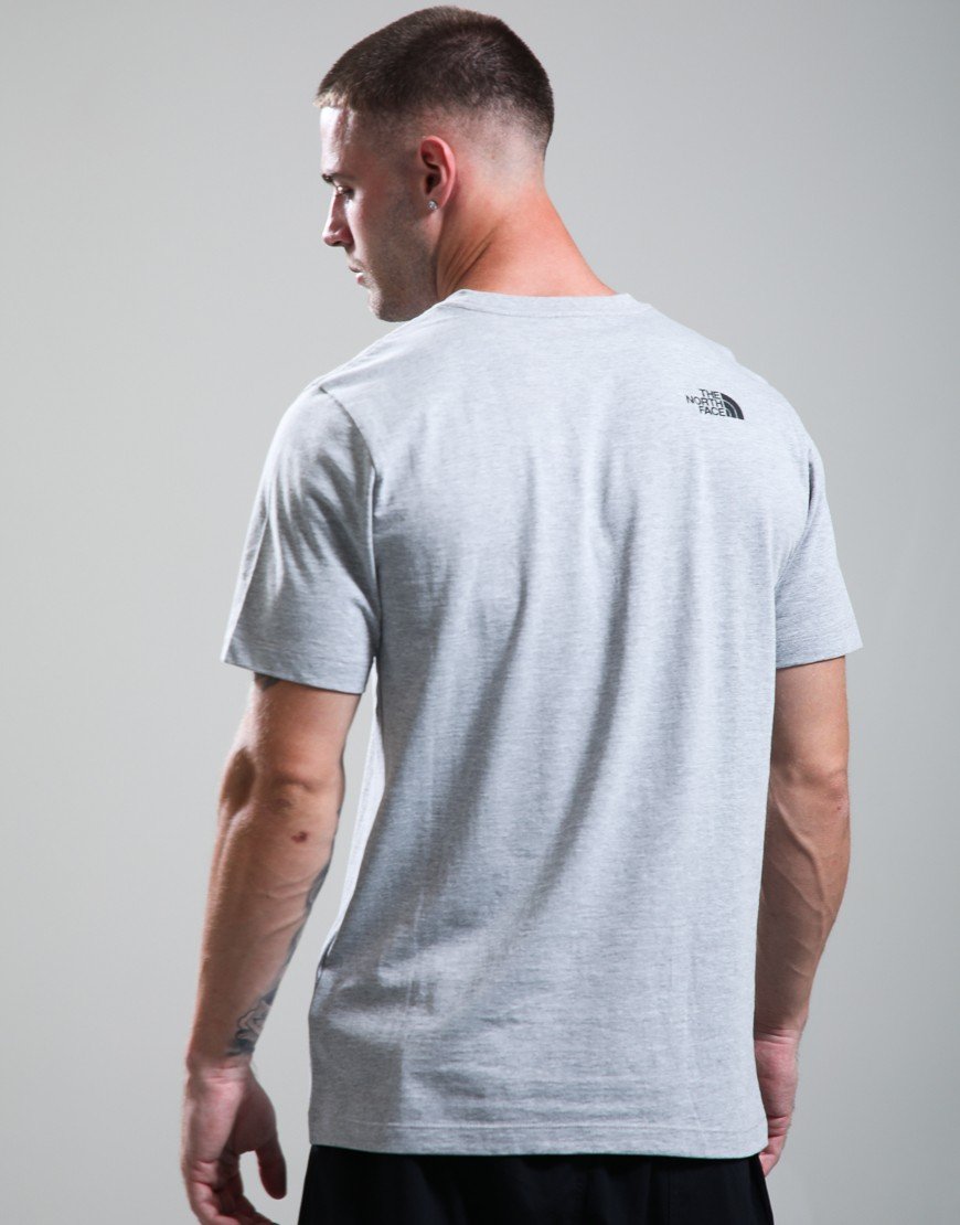 The North Face Evolution Box Half Dome T-Shirt Pale Grey Heather