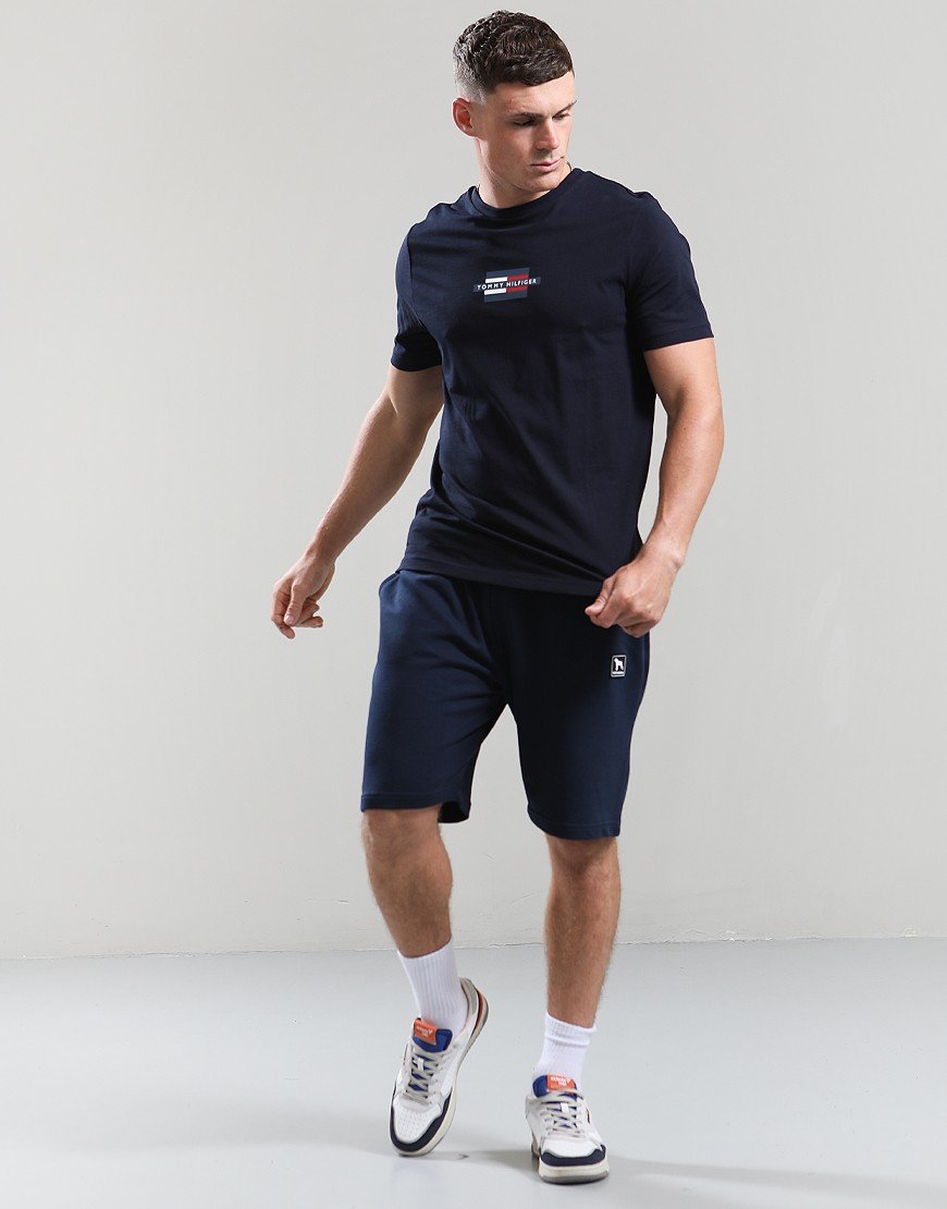 Tommy Hilfiger Flag Box T-Shirt Desert Sky