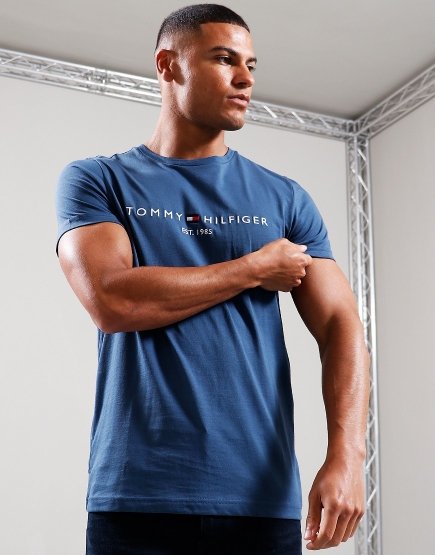 Tommy Hilfiger Logo T-Shirt Aegean Sea